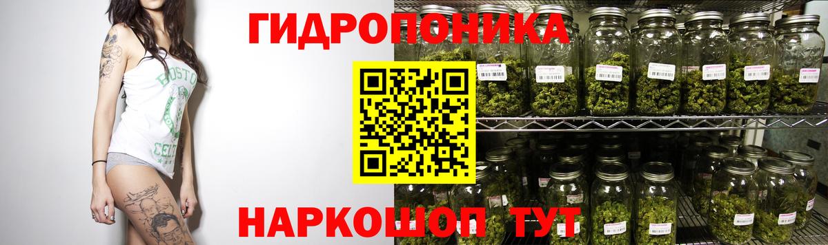 Марихуана Amnesia  МАРИХУАНА ГИДРОПОН  Димитровград  МАРИХУАНА индика  Вход с VPN 