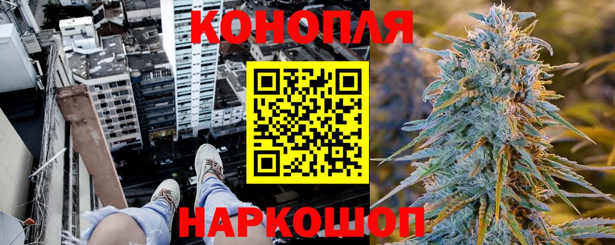 Шишки марихуана семена Димитровград